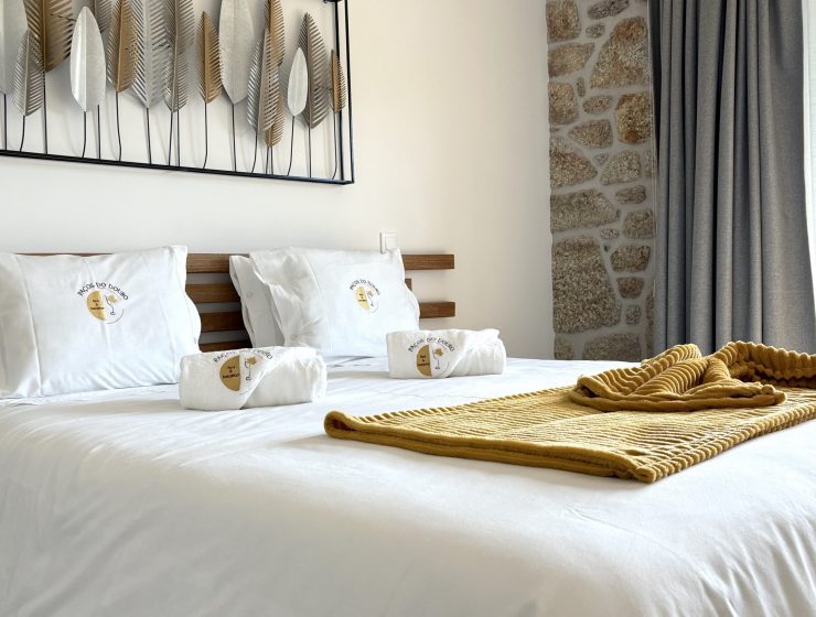 Chambre 1 – Paços do Douro