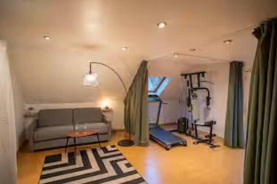 Bollwiller : Loft Moderne avec Piscine et Gym